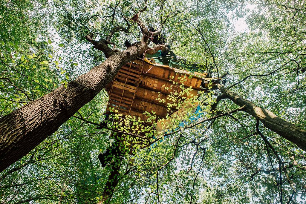 Hambacher Forst evection 2018