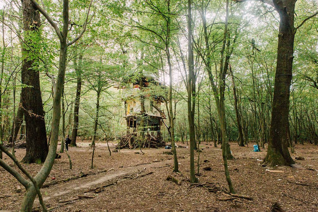 Hambacher Forst evection 2018