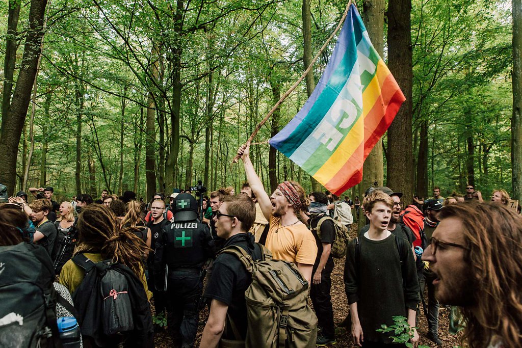 Hambacher Forst evection 2018